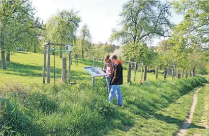  ?? FOTO: CLAUDIA HEITMANN/NABU NATURSCHUT­ZSTATION LEVERKUSEN-KÖLN ?? Bald blühen sie wieder – die Bäume entlang des Leichlinge­r Obstweges.