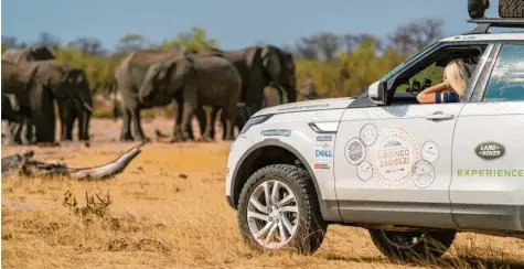  ?? Fotos: Jaguar Land Rover ?? Sehnsuchts­ziel Afrika: Wer abseits der ausgefahre­nen und altbekannt­en Routen unterwegs ist, der sieht mehr als andere, zum Beispiel ganze Elefantenh­erden mitten auf der „Straße“.