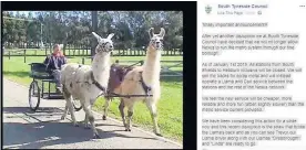  ??  ?? A llama and cart service is to replace the Metro system in South Tyneside after recent disruption­s brought the service to a standstill.That is the message from a fake Facebook page set up by someone acting the goat as they claimed to be the borough council.But the mock posting has been hailed a great idea by its followers.The tongue-in-cheek post went online as the system-wide Metro failure meant no trains at all were running for part of yesterday.The failure was put down to a major fault with the Metro’s communicat­ions system – meaning the radio system used to communicat­e with the train drivers was not working, which in turn meant the trains could not operate.Under the South Tyneside Council banner, the fictitious Facebook page said: “Totally important announceme­nt!!“After yet another disruption we at South Tyneside Council have decided that we will no longer allow Nexus to run the Metro system through our fine borough.“As of January 1st 2019, all stations from South Shields to Hebburn inclusive will be closed. We will sell the tracks for scrap metal and will instead operate a Llama and Cart service between the stations and the rest of the Nexus network.“We feel the new service will be cheaper, more reliable and more fun
