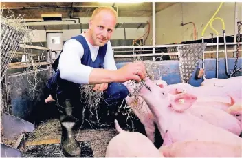  ?? FOTO: KLAUS DIEKER ?? Züchter Wilhelm Hellmanns ist in großer Sorge um seine Schweine.