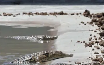  ?? PHOTO: REUTERS ?? Water levels are so low at Kariba dam the authoritie­s may be forced to shut down the dam’s hydro-power plants.