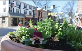  ?? SUBMITTED PHOTO ?? Spring flowers showcase the local charm of the Kennett Square community.