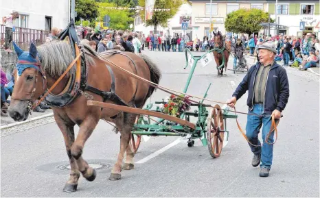  ?? FOTO: JOSEF ASSFALG ?? Tausende Besucher kamen, um die schönen Gespanne zu bewundern.