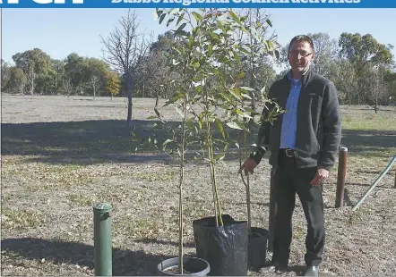  ??  ?? Dubbo Regional Council Recreation and Open Space manager Ian Mcalister with examples of the locally-sourced trees from ICAN. The trees will be planted in space at the southern end of Tamworth Street being developed into a new riverside picnic area....