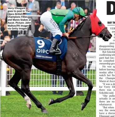  ?? Picture: John Walton/pa Images via Getty Images ?? Verry Elleegant goes to post in The Qipco British Champions Fillies and Mares Stakes at Ascot.