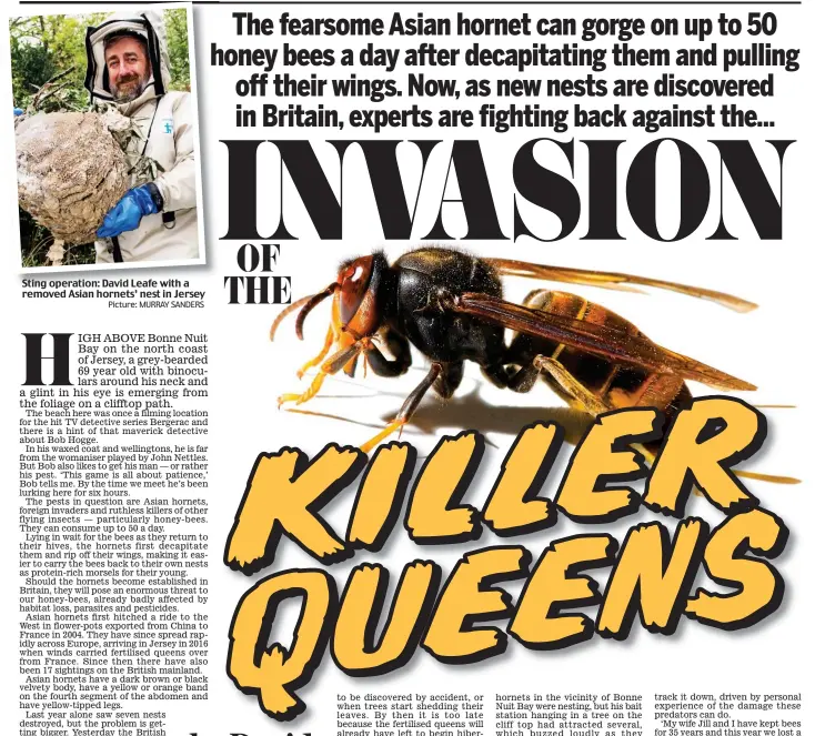  ??  ?? Sting operation: David Leafe with a removed Asian hornets’ nest in Jersey