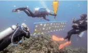  ?? Picture: REUTERS/ PETER BLAZA ?? RESTORING NATURE: Divers hold a frame for an underwater coral nursery in Bauan, Batangas Province, Philippine­s.