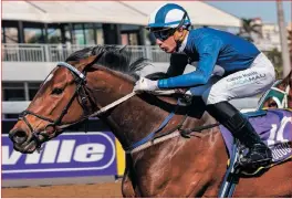  ?? Picture: Candiese Lenferna ?? MORGAN LA FAY, with Calvin Habib up, wins the opener for trainer Wendy Whitehead at Hollywoodb­ets Greyville yesterday.