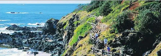  ??  ?? The beautiful Port Macquarrie coastal walk is rich in wildlife, from goannas basking in the sun and koalas in the eucalyptus trees — to the masked lapwings determined to protect their nests.