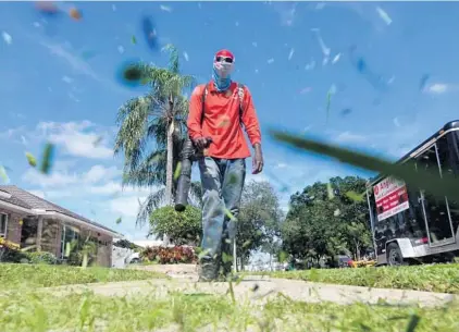  ?? JOE CAVARETTA/SOUTH FLORIDA SUN SENTINEL FILE ?? Tellis Robinson, a worker with Angler Lawn & Landscape, uses a leaf blower to clean up after mowing a client’s lawn in Fort Lauderdale on Oct. 7.