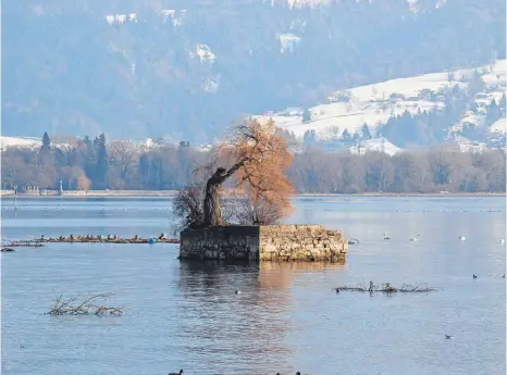  ?? FOTO: GBO ?? Die Stadt Lindau will die Insel Hoy jetzt sanieren.