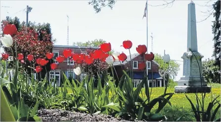  ?? PAT MARCHEN/SPECIAL TO THE EXAMINER ?? The donation of $5,000 last year to the rejuvenati­on of Foley Park from Heartland Farm Mutual’s iHeart Community Fund is paying off, as the majestic red and white tulips are proving. Otonabee-South Monaghan was one of 150 communitie­s to benefit from...