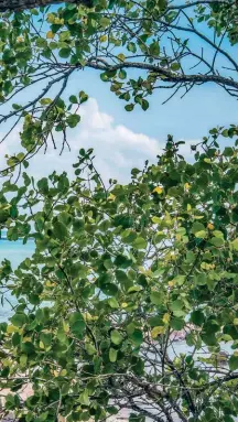  ??  ?? Island Battlegrou­nd: According to Malay legend, two warriors once fought to the death at this spot – their ghosts are said to remain on the island. (We’re wondering if that’s why an anagram of “Hantu” is “haunt”…)