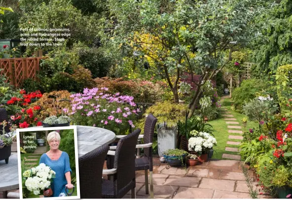  ??  ?? Pots of cosmos, geraniums, acers and hydrangeas edge the raised terrace. Steps lead down to the lawn Lynne in her garden