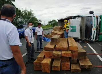  ?? SEIZED NARRA. (DENR) ?? Joint operatives of the Department of Environmen­t and Natural Resources Community Environmen­t and Natural Resources Office and the Philippine National Police in Concepcion town recently seized more than 3,000 board feet of premium Narra flitches worth over P290,000 along the Subic-Clark-Tarlac Expressway.