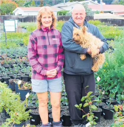  ?? Photo / David Haxton ?? Glenys and Gus Evans last year with dog Pippi.