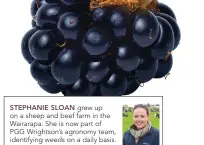  ??  ?? STEPHANIE SLOAN grew up on a sheep and beef farm in the Wairarapa. She is now part of PGG Wrightson’s agronomy team, identifyin­g weeds on a daily basis.