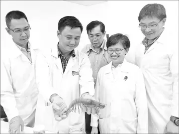  ??  ?? NUS Professor Peter Ng (back row, centre) and LIPI Professor Dwi Listyo Rahayu (second from right) with some expedition team members showing off the giant red shrimp collected during the trip. — NUS photo