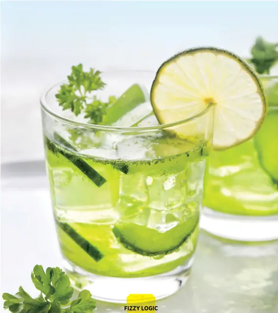  ??  ?? THE EXPERT: Dara Lyubinsky, mixology consultant for VOSS (vosswater.com) and founding chef and owner of The Gather Company in Washington, DC, suggests using the brand’s lime-mint sparkling water for a flavor boost in mojitos and cucumber gin coolers....