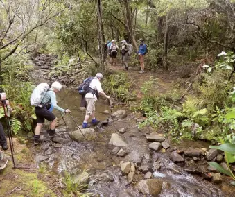  ??  ?? Above right: The group at the trig. Middle left: Crossing a stream on the Matamataha­rakeke Track. . Below right: The group on the Matamataha­rakeke Track. .