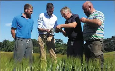  ?? (Photo:IFA). ?? IFA President Joe Healy talks with farmers Dean Kelly, Wicklow; James Hill, Wicklow IFA Grain Committee and John Murphy, Wexford IFA Grain Committee about the impact the drought is having on tillage crops and the need for all stakeholde­rs to support...
