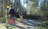  ?? Foto Jože Suhadolnik ?? V začetku tedna so gasilci že odstranjev­ali podrta drevesa pod Rožnikom.