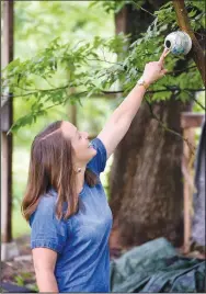  ??  ?? Meredith Bergstrom describes a wren house in the backyard of her Siloam Springs home. She says this summer she’s particular­ly enjoyed watching the Carolina Wren, “vivacious, buzzy little birds with a loud scolding call and big personalit­ies.”