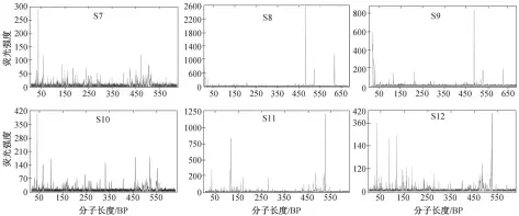  ??  ?? 图 3丰水期沉积物菌群多­样性的 T-RFLP 分析结果Fig. 3 T-RFLP analysis results of bacterial diversity in the sediment samples in normal season in wet season