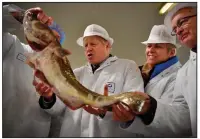  ?? (AP) ?? Britain’s Prime Minister and Conservati­ve Party leader Boris Johnson (center) visits a fish market last month in Grimsby in northeast England. British fishing communitie­s were among the strongest supporters of Brexit, but now some say they face ruin because of new red tape related to the U.K.’s departure from the European Union.