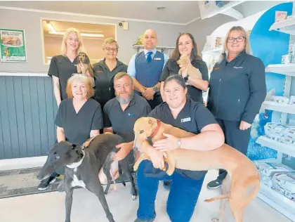  ?? ?? The Village Vets in Levin: Antonia Miers, reception, Jackie Coutts, diagnostic manager from Zoetis, Paul Mitchell, owner/manager, Monique Ashman, vet nurse, Trinette Anderson, diagnostic manager from Zoetis, Naomi Annesley, veterinari­an with 40 years’ experience, Anthony Stone, adoption and kennel manager for Greyhounds NZ and Kelly McDermott, veterinari­an. The tan greyhound is BigTime Birdie and the black greyhound is Sugar Boom Boom.