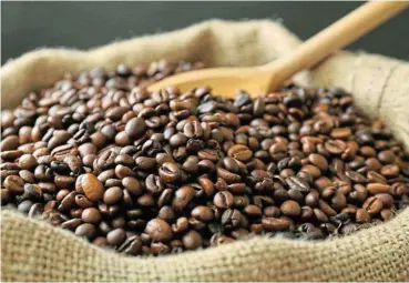  ?? 123RF/Belchonok ?? Beans of contention: Coffee beans are a major source of antioxidan­ts such as chlorogeni­c acid. /