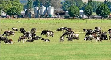  ?? JOHN HAWKINS/ STUFF ?? A dairy farm in Southland understood to be under a Restricted Place Biosecurit­y Notice, due to Mycoplasma bovis testing results.