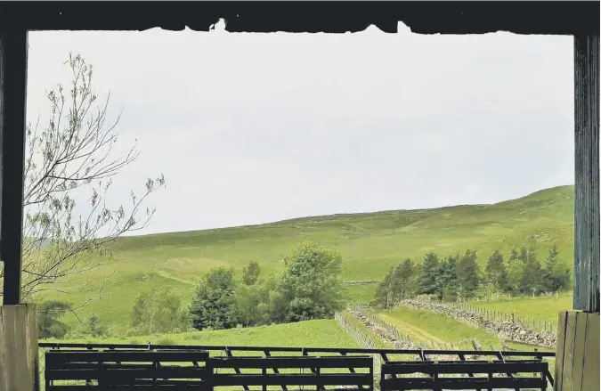  ??  ?? 0 Tor Södergren came across this old barn, looked in and saw the beautiful green rolling hills through the almost perfect rustic frame – thanks Tor!