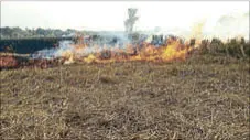  ?? HT PHOTO ?? Stubble burning continues unabated in the region, especially in Karnal, Kurukshetr­a, Yamunanaga­r and Kaithal districts.