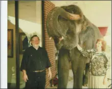  ?? (Courtesy Cantrell Gallery) ?? Helen and Norman with Mary the Elephant, who painted her art out on the sidewalk several times in the early 1990s