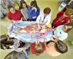  ?? JOHN GODBEY/THE DECATUR DAILY ?? Sarah Lowman of Alabama Science in Motion displays a synthetic cadaver to Brewer High School students in Morgan County, Ala.