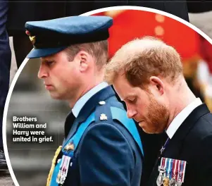  ?? ?? Brothers William and Harry were united in grief.