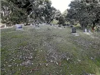  ?? MARTIN DE RUYTER/STUFF ?? David Panui died aged 9 at Nelson Mental Hospital (later renamed Braemar) and lies in an unmarked grave at Wakapuaka Cemetery in Nelson.