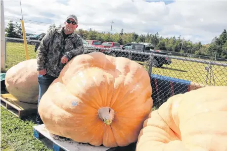  ?? NICOLE SULLIVAN • CAPE BRETON POST ?? Jody Rendell from Point Aconi stands next to his winning entry in the 2020 Joe King Memorial Giant Pumpkin Weigh-In held at the Millville Community Centre on Saturday. Weighing 1,385 pounds (628 kg), Rendell’s greenhouse-grown pumpkin outweighed the second-place gourd by almost 300 pounds.