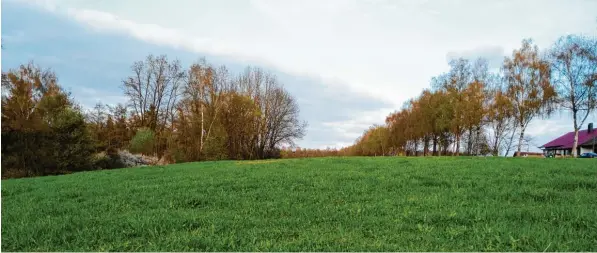  ?? Foto: Stefan Reinbold ?? Wohnen im Grünen: Rund 35 Baugrundst­ücke entstehen auf dem Eichberg. Ein Teilbereic­h des Neubaugebi­ets befindet sich nördlich der Birkenalle­e.