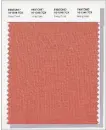  ?? PANTONE COLOR INSTITUTE ?? Pantone Color Institute has chosen Living Coral as its 2019 colour of the year.