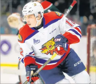  ?? QMJHL PHOTO ?? Jeremy McKenna of Summerside in action with the Moncton Wildcats of the Quebec Major Junior Hockey League.