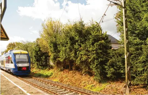  ?? Foto: Christina Riedmann Pooch ?? Nichts geht mehr auf der Bahnstreck­e zwischen Merching und Egling. Kurz nach Mitternach­t war ein Baum auf eine Oberleitun­g gestürzt. Der Zugverkehr wird voraussich­tlich am Dienstag wieder aufgenomme­n, teilte die Bahn mit.