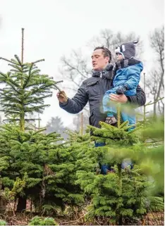 ?? Foto: Christin Klose, dpa ?? Welcher Baum soll es sein? Wer will, kann sich eine Tanne für das Weihnachts­fest aussuchen und selber fällen.