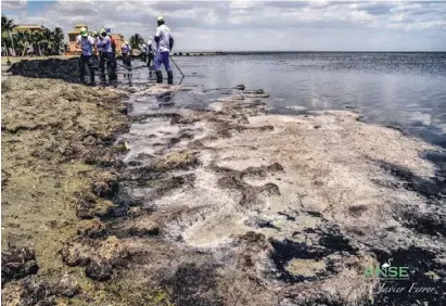  ?? Foto: Javier Ferrer/Anse ?? Katastroph­ales Bild am südlichen Mar Menor Anfang Juni.