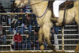  ?? (Arkansas Democrat-Gazette/Stephen Swofford) ?? People bid on a horse Saturday during the Arkansas Division of Correction’s annual auction. The goal was to find good homes for the animals being retired after years of faithful service, the division said.