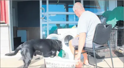  ??  ?? An inmate trains his mobility assistant dog to load a dryer.