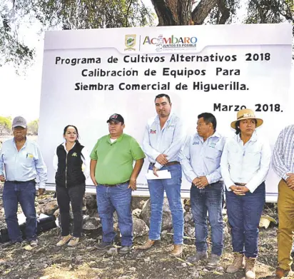  ??  ?? Entre los cultivos alternativ­os, además de la higuerilla tambien se cuenta el nopal y otros más que ya se aplican en Acámbaro./ Francisco Arellano.