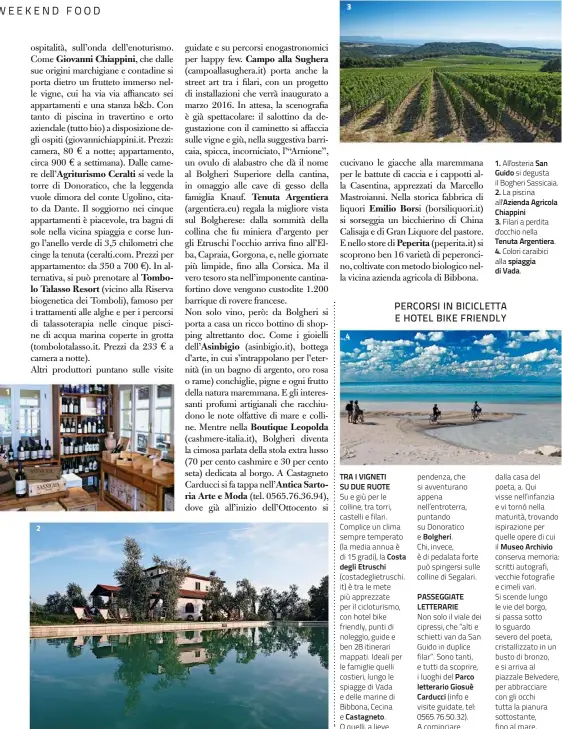  ??  ?? 1. All'osteria San Guido si degusta il Bogheri Sassicaia. 2. La piscina all'Azienda Agricola Chiappini 3. Filari a perdita d'occhio nella Tenuta Argentiera. 4. Colori caraibici alla spiaggia di Vada.