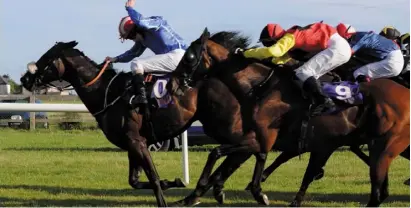  ??  ?? Get along to Wexford Racecourse in Bettyville for the races this Saturday, September 2.